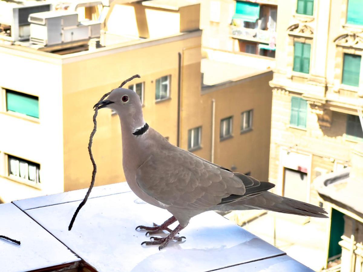 Home Sweet Home Nel Cuore Di Genova Exterior photo
